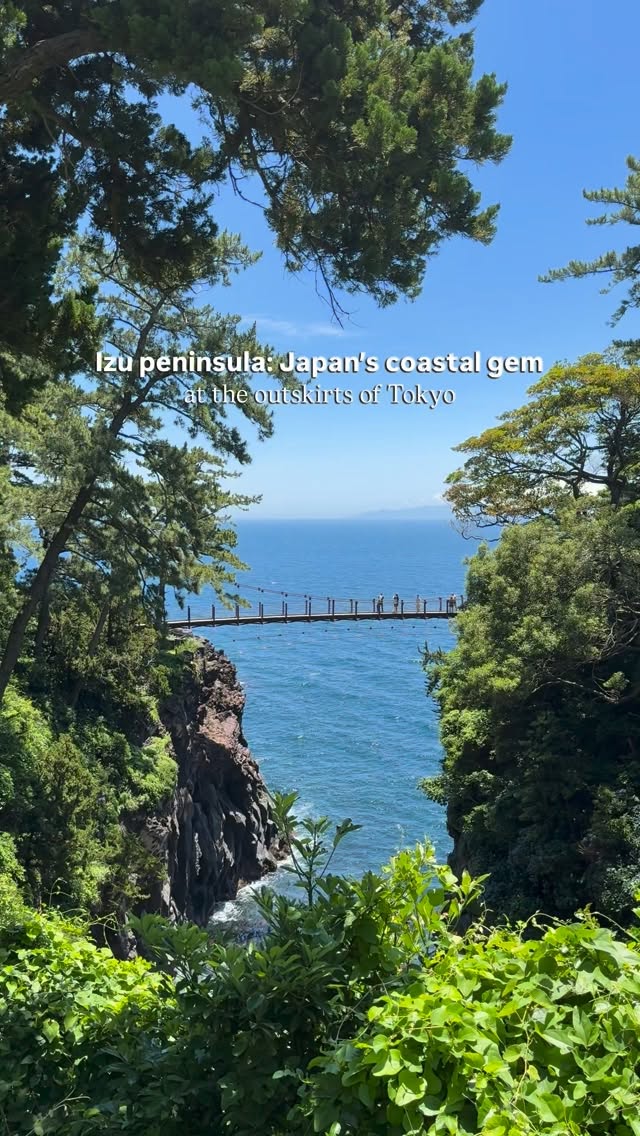 Mari 🇮🇹 • Japan Travel, Mt. Omuro
