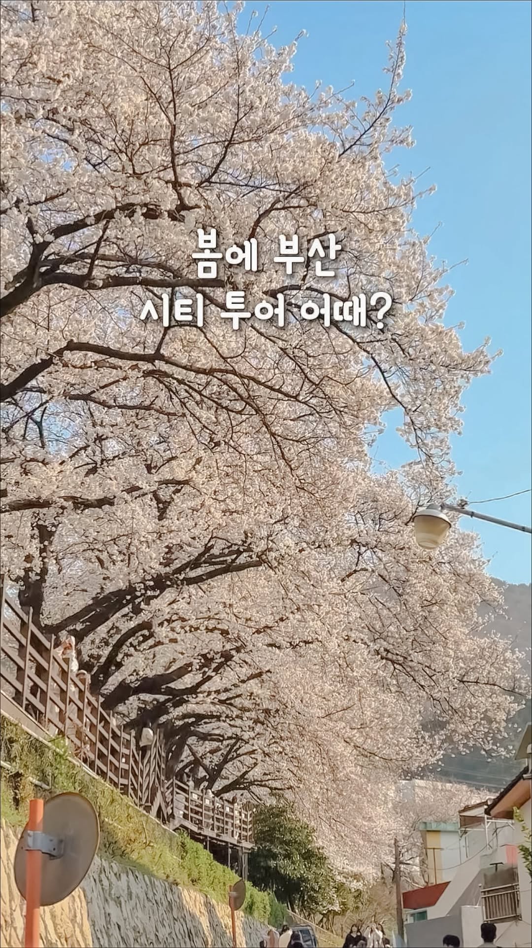 여유 I 공간 • 카페 • 음식 🏠, Haeundae Beach