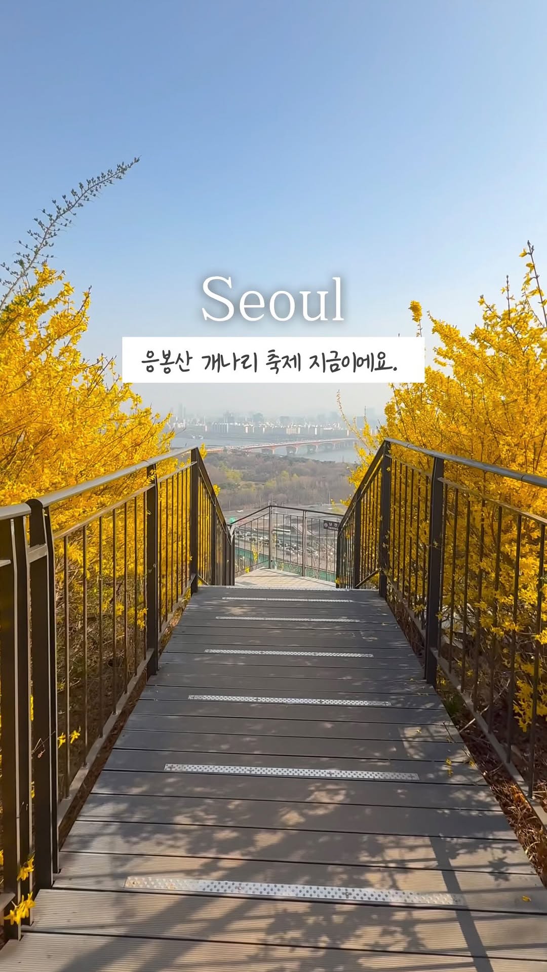 lunamoon 루나문, Eungbongsan (Seoul)