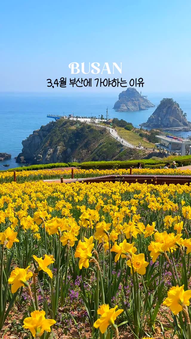 주영 | 여행 • 숙소 • 데이트코스, Busan