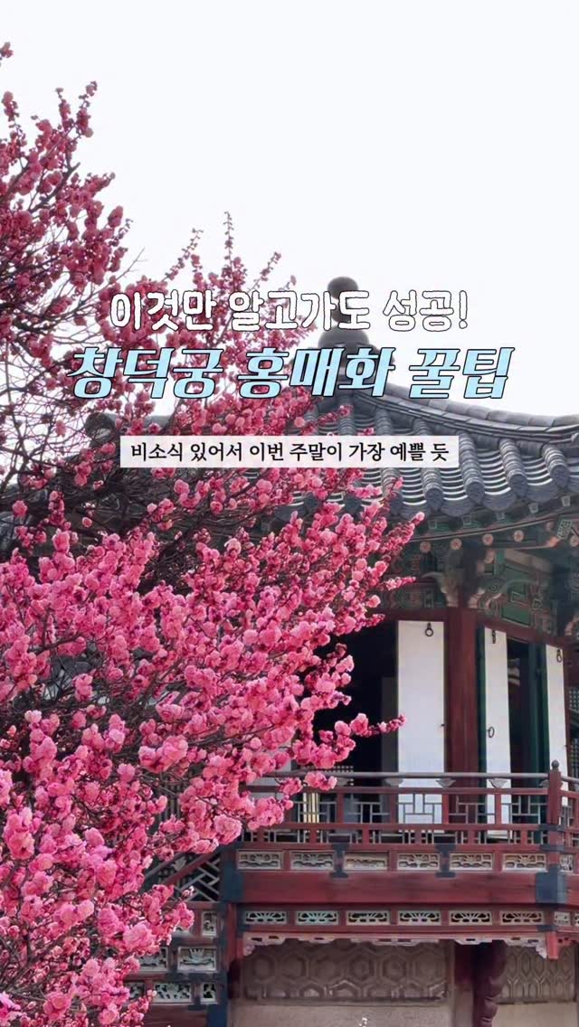 210 | 여행 핫플 맛집 ˚⁎⁺༚, Bukchon Hanok Village