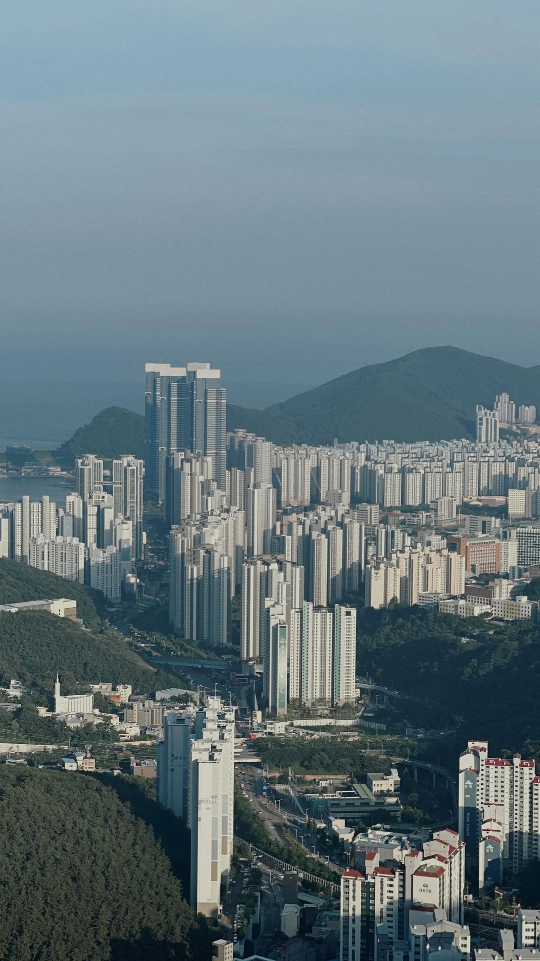 Yoya | Traveler & K-Culture 🤍, Busan