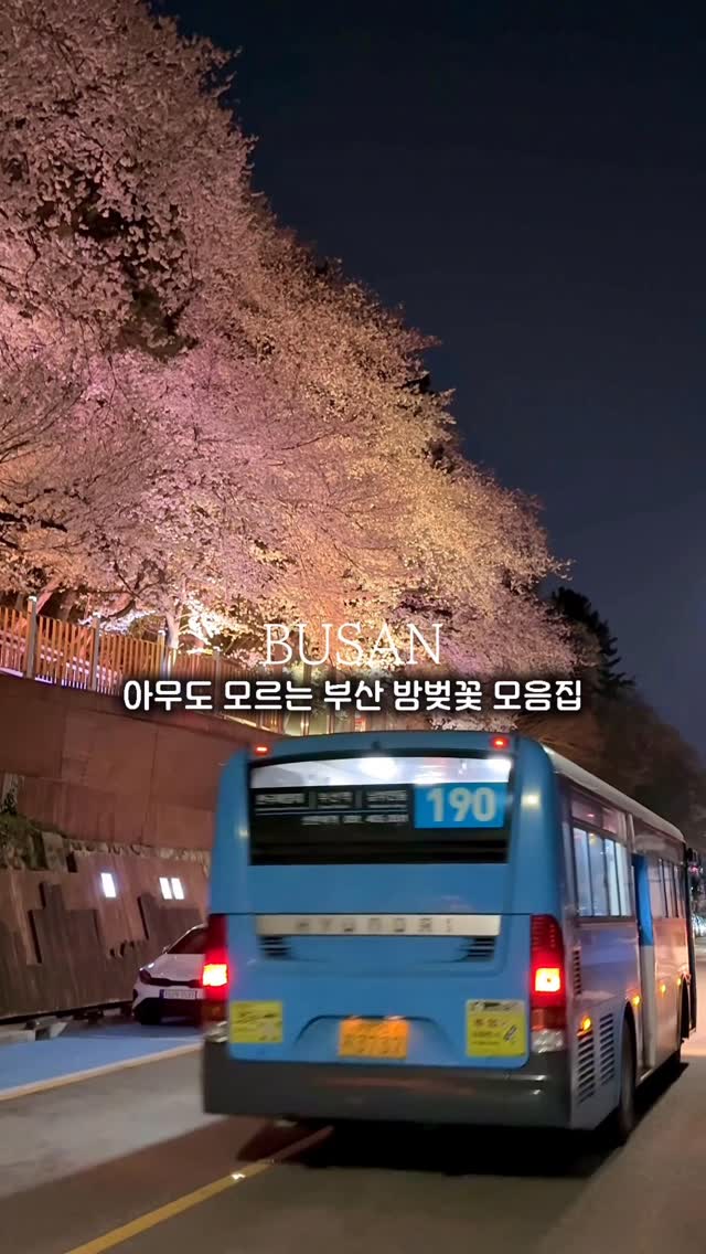 지혜둥이 ♡ in Busan, Yongdusan Park