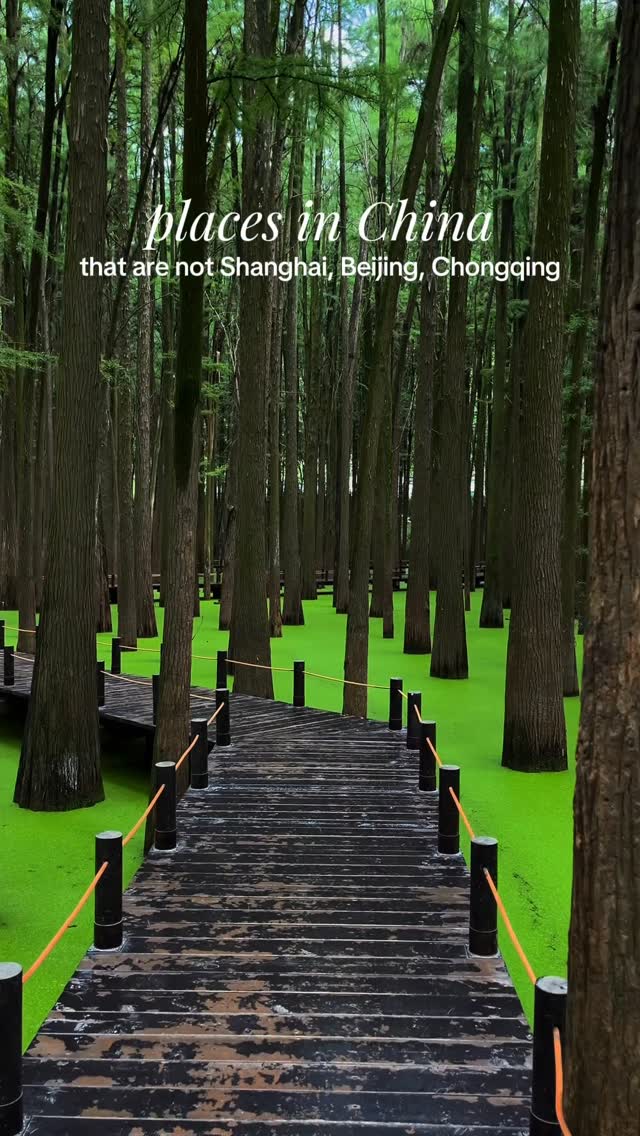 rached | travel | hotels, Shanghai