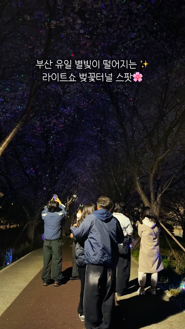 선화ㅣ부산핫플•카페•여행•데이트, Daejeo Ecological Park