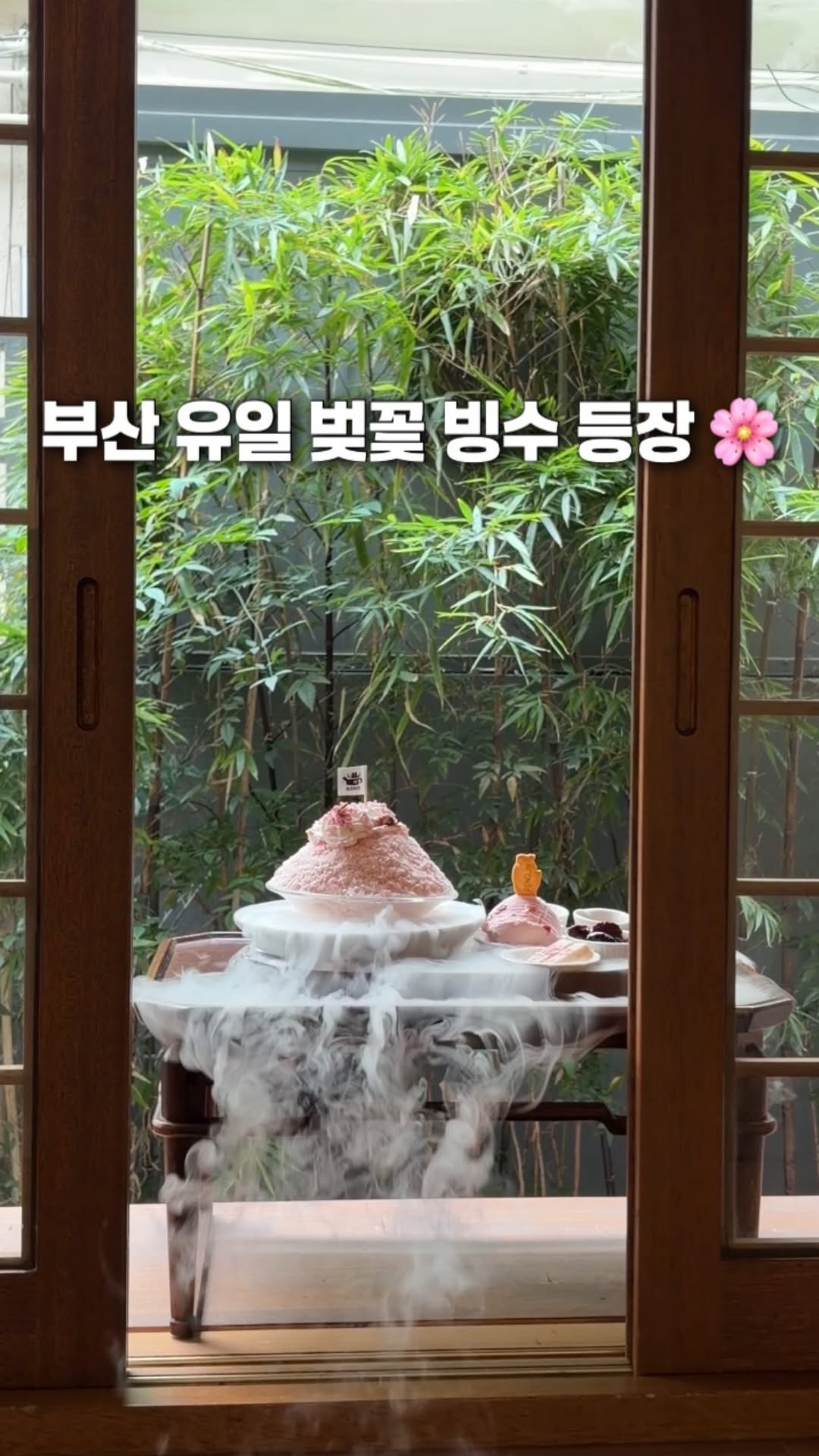 부산카페•부산맛집•부산여행 | 유지부산, Oncheoncheon Stream