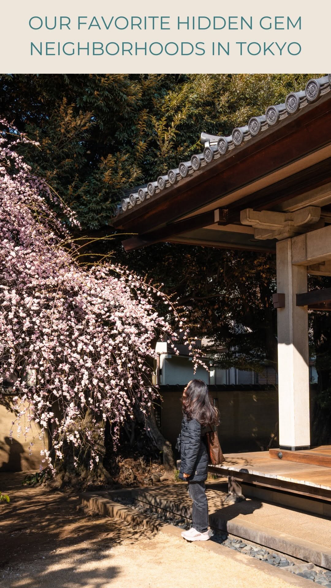 Mia & Lev | Curated Travel Destination Guides, Hachikō Memorial Statue