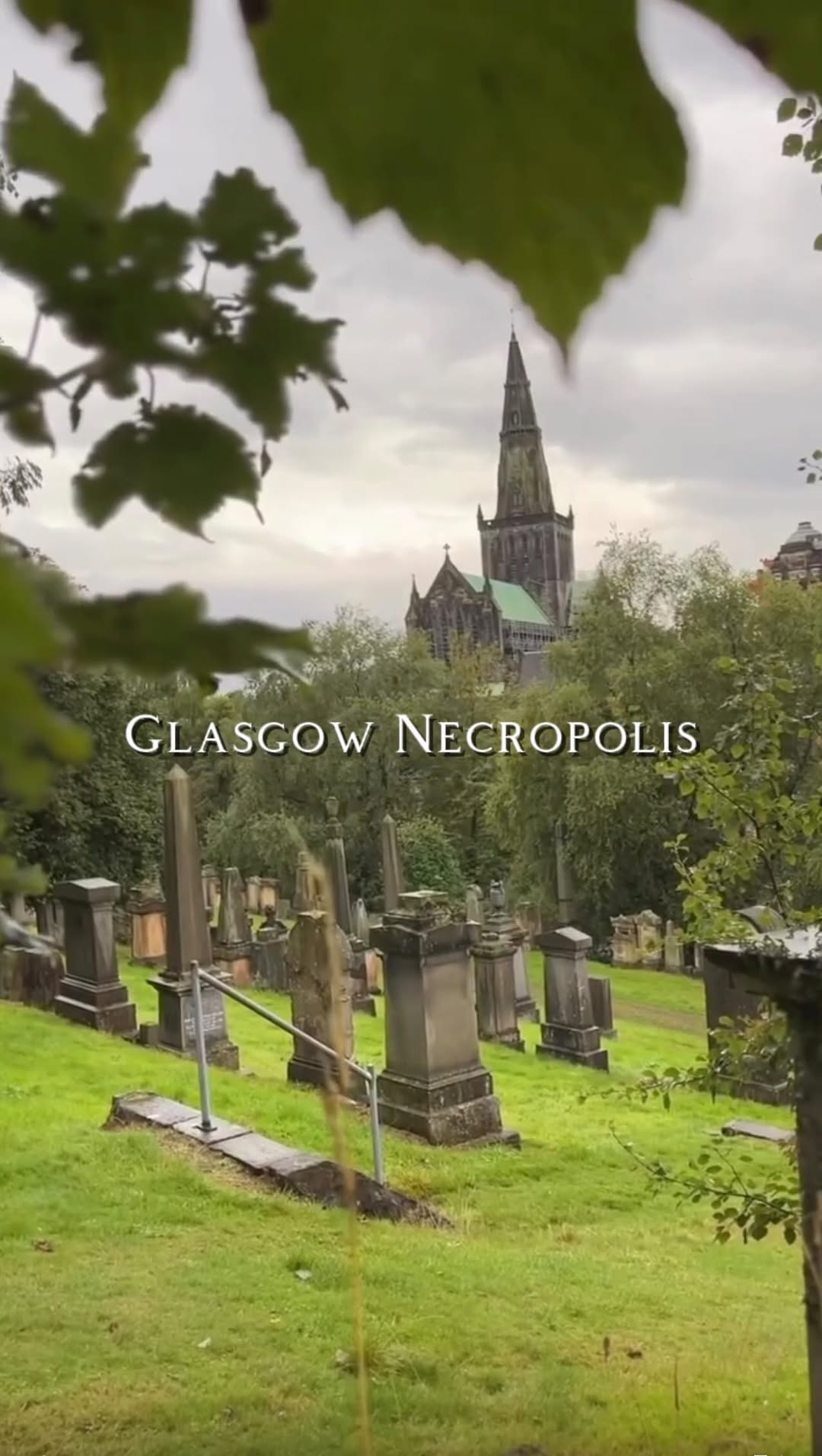Andrew McAlindon, The Glasgow Necropolis