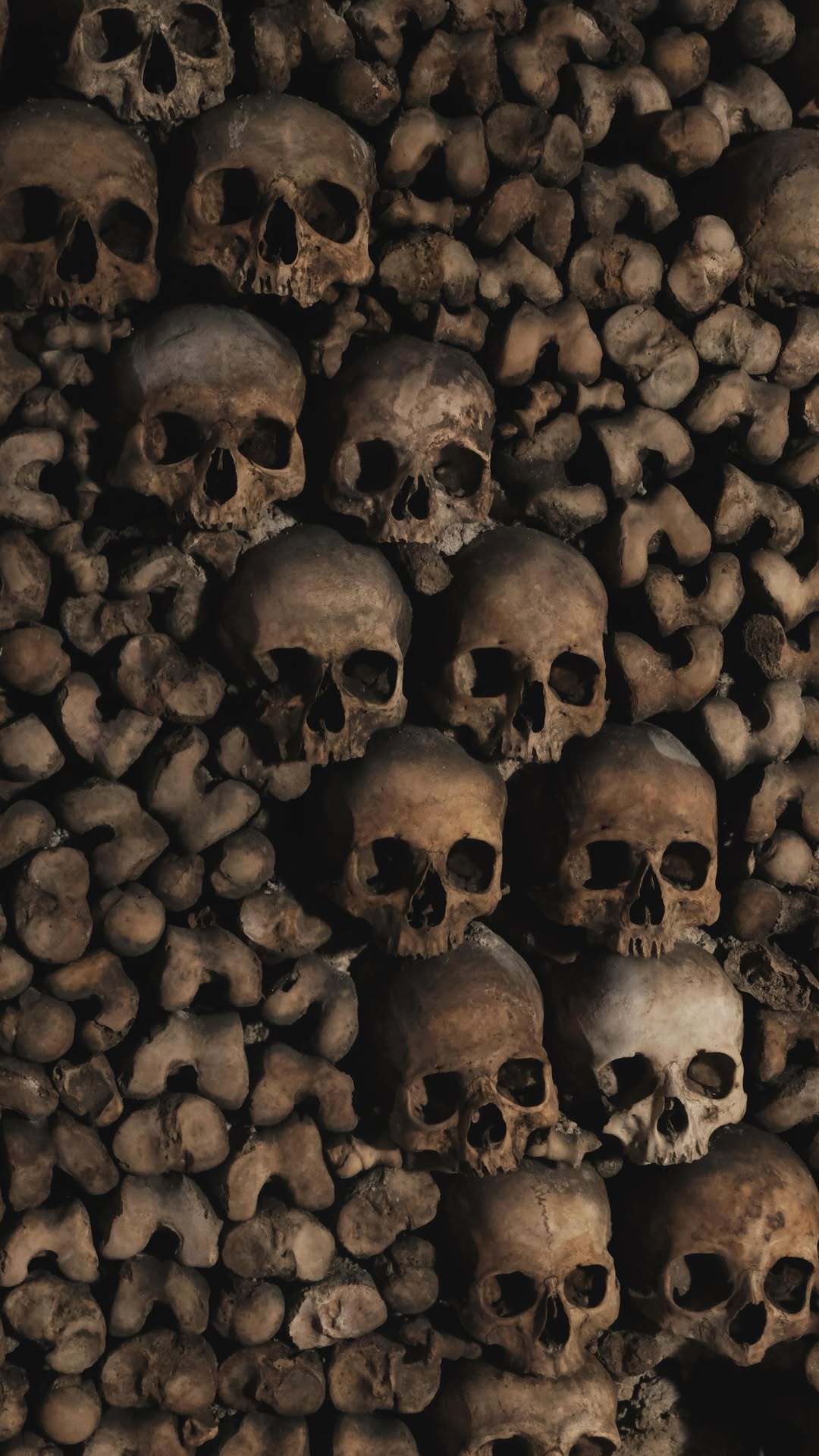 Alex | Travel Photographer, Catacombs of Paris