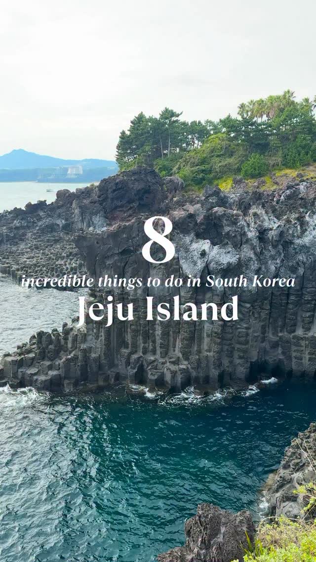 Natalia Hasenkampf | San Diego + Travel, Jusangjeollidae