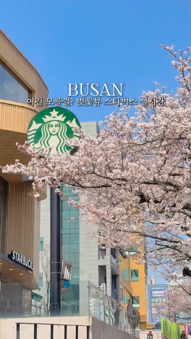 우쑤한여행ㅣ감성숙소& 네이버 여행 인플루언서🫧, 화명생태공원