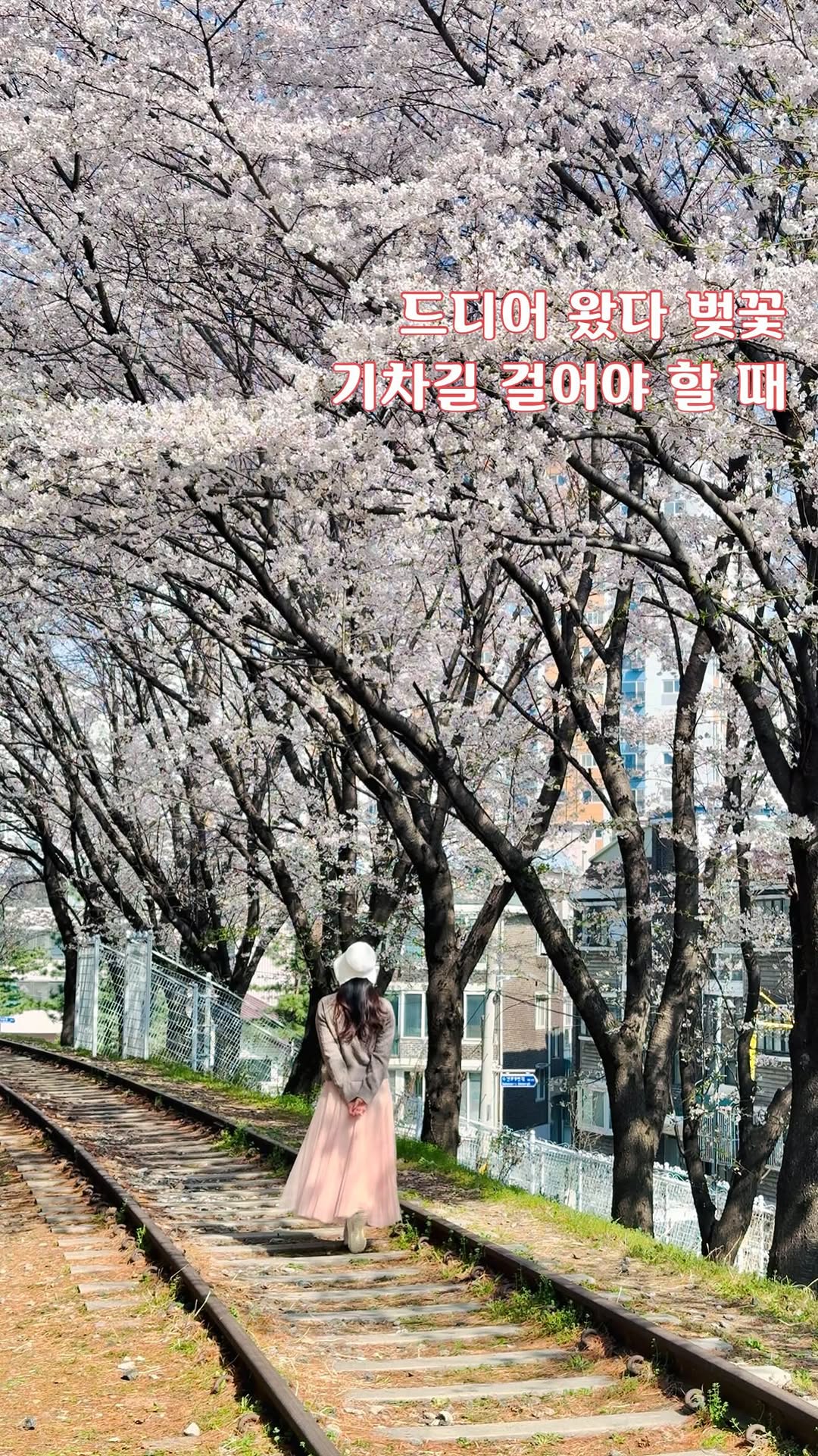 5959jessica 여행,숙소, 카페, 공간 💜, Incheon Grand Park
