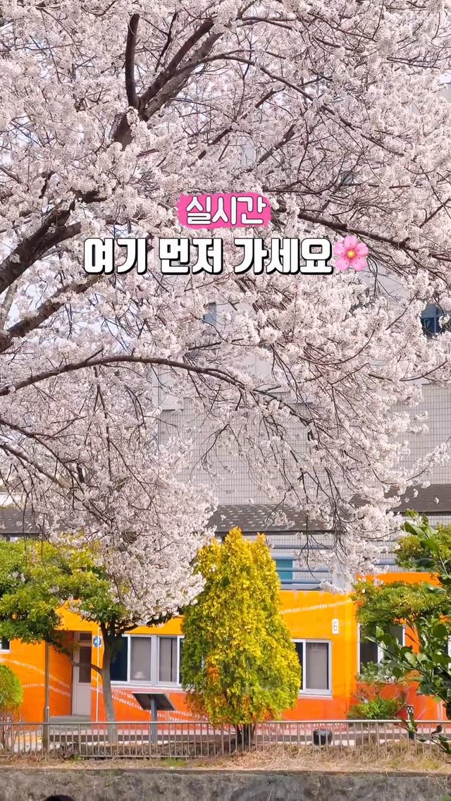 쿡희 ❤︎ 제주감성여행, 수운근린공원