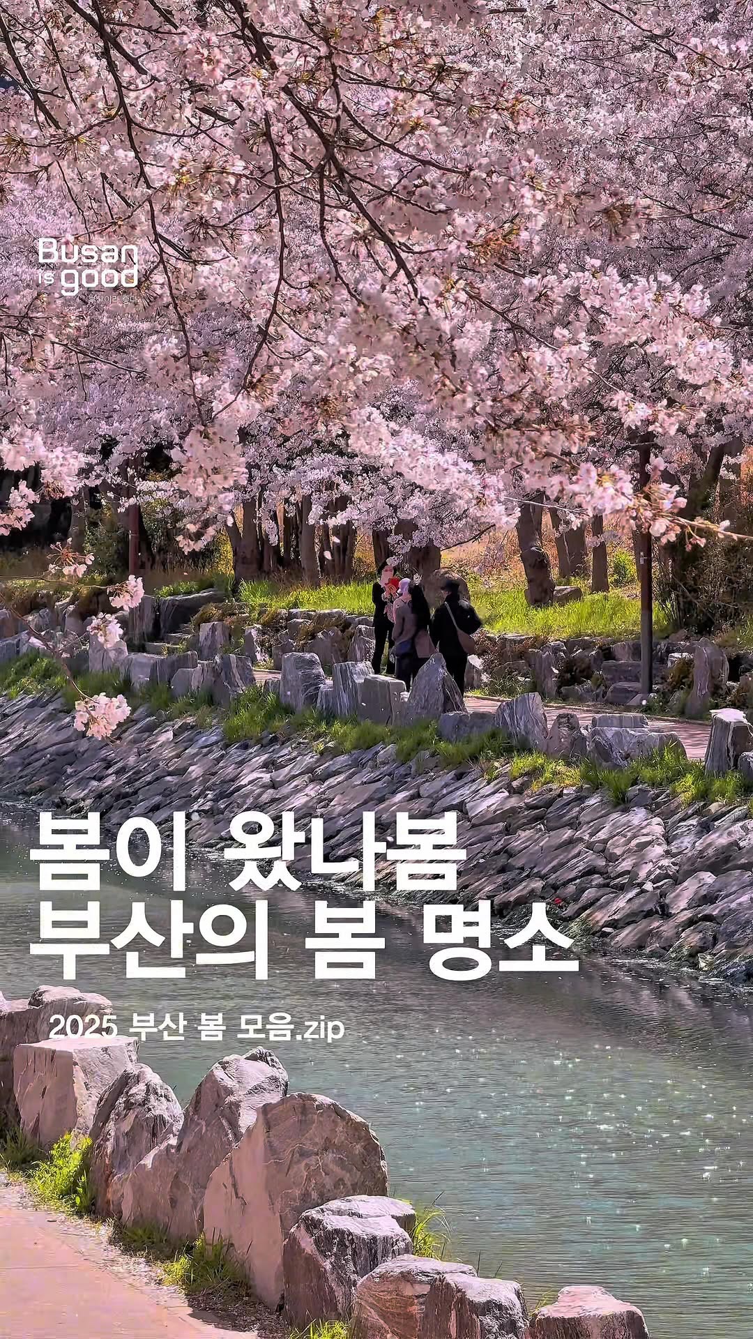 Brandon Kim, Busan Citizens Park