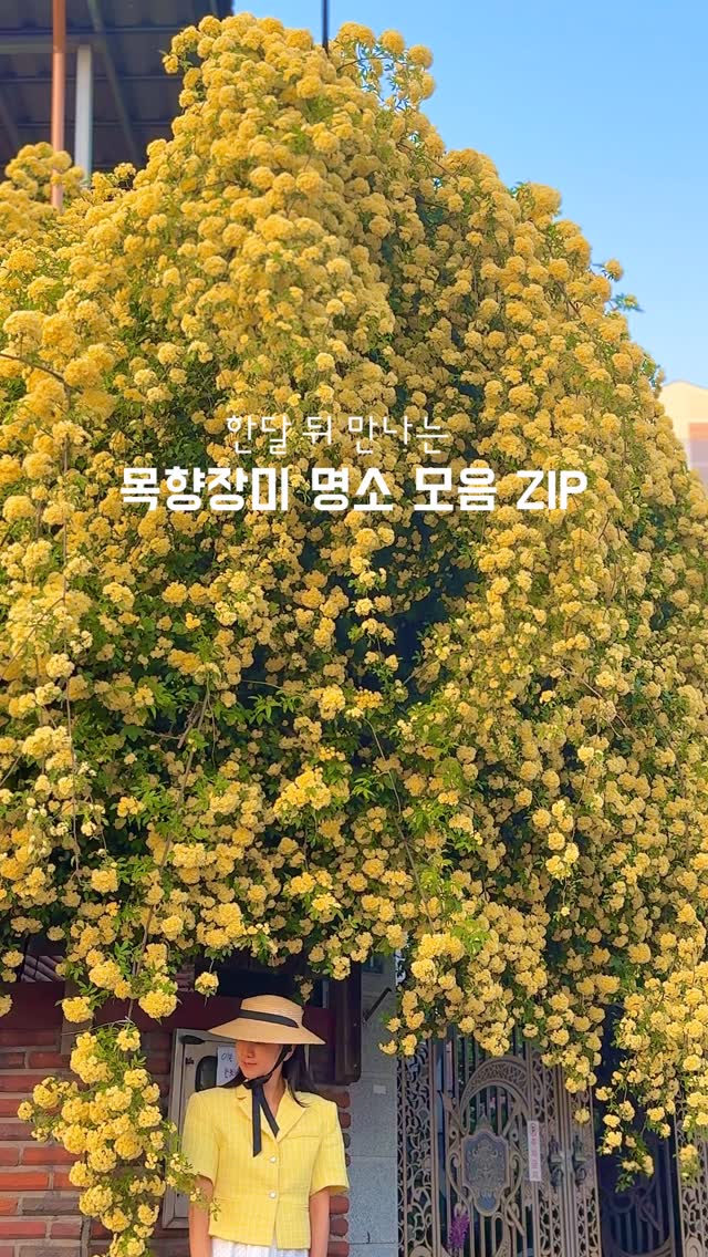 로로 | 부산 , 제주 여행, 진해 보타닉뮤지엄