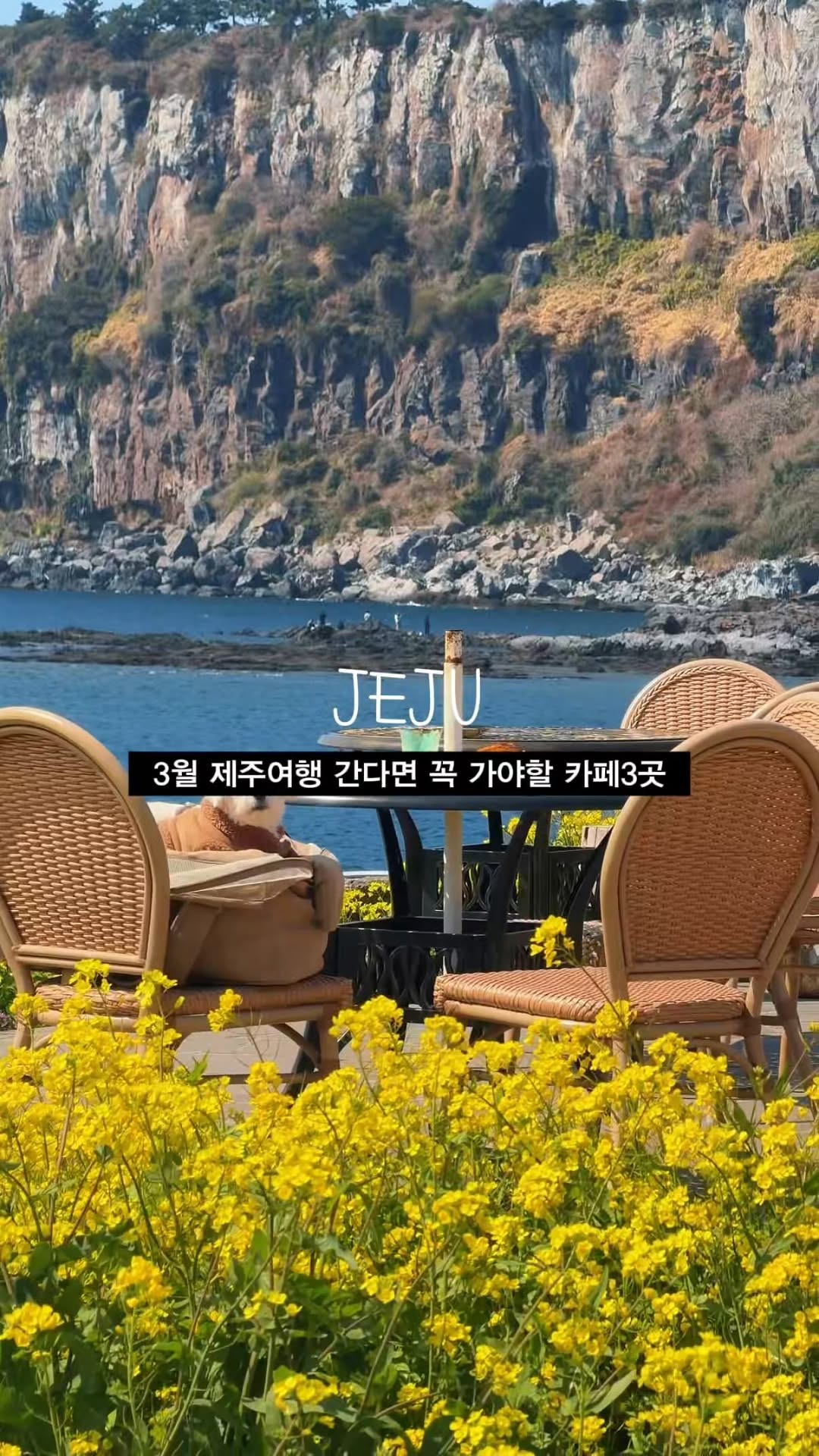 여리🧚🏻‍♀️ 부산카페•부산데이트•부산여행, Oleun (Orrrn)