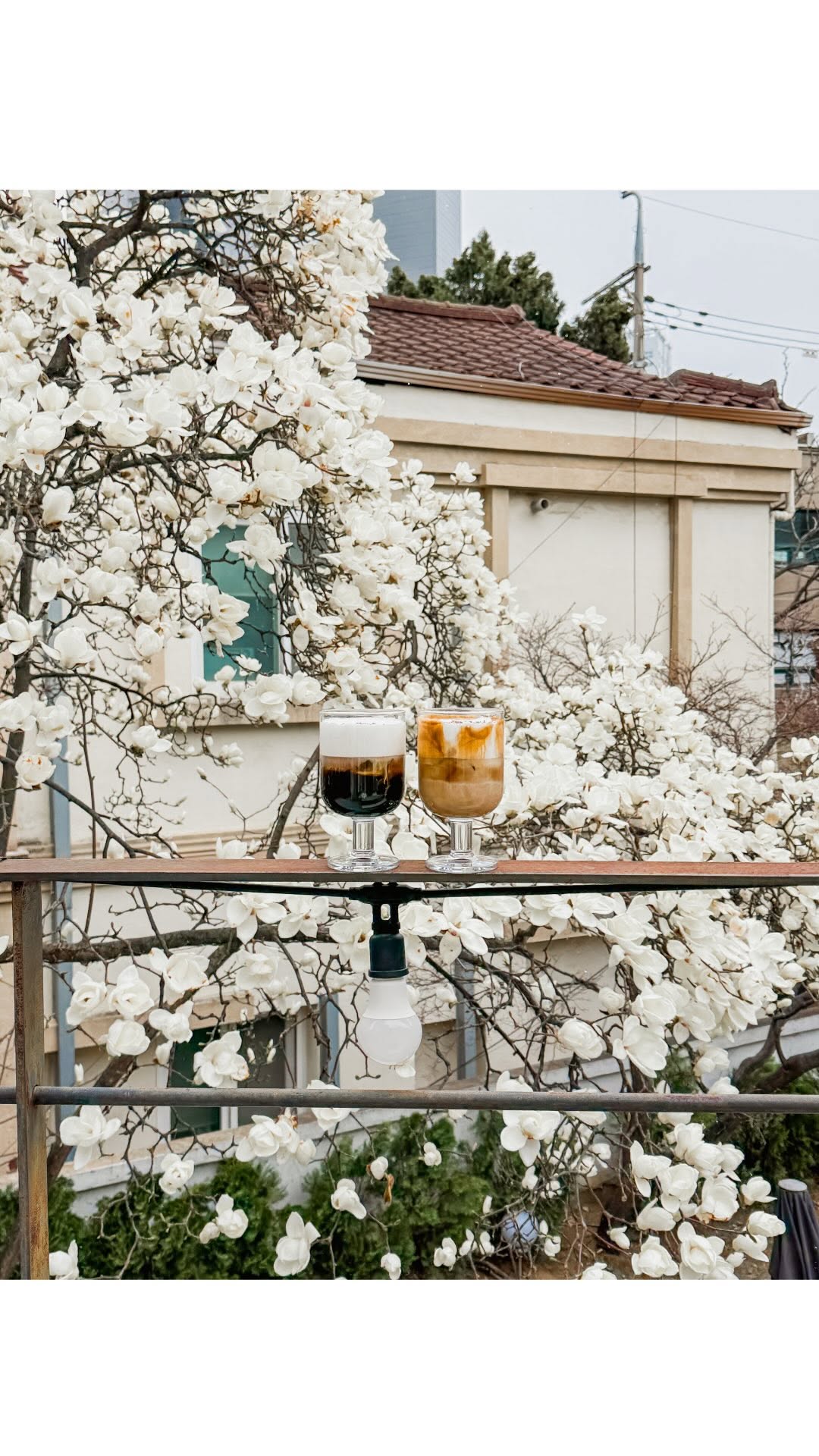 Helen Au, Koriko Cafe