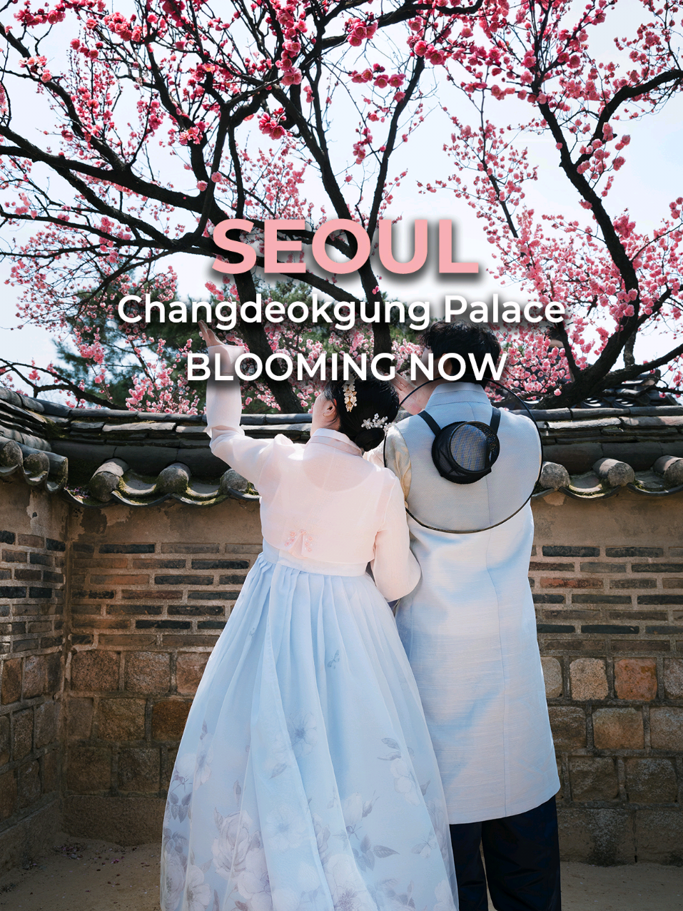 jeysnote, Changdeokgung