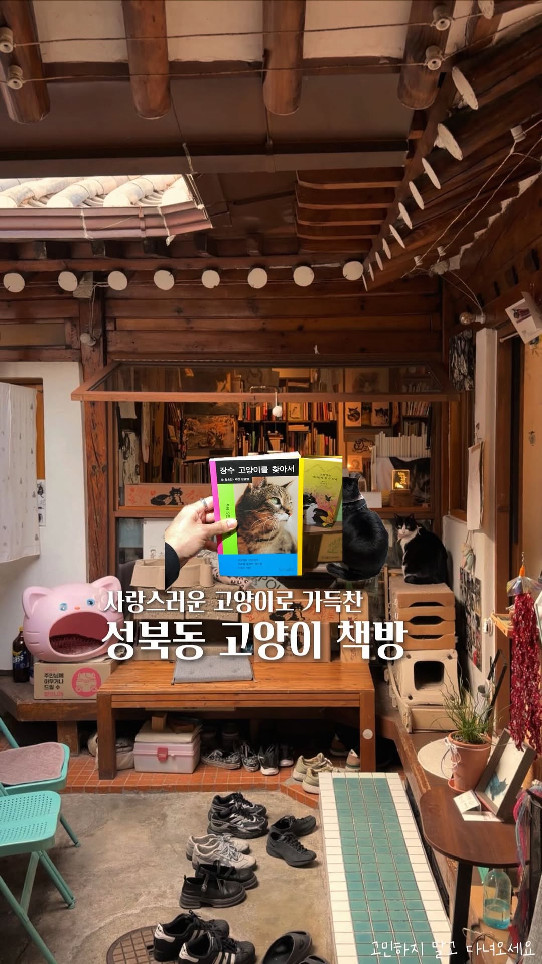 고민 | 공간 ◦ 카페 ◦ F&B ☕ 🌿, Seongbuk-dong