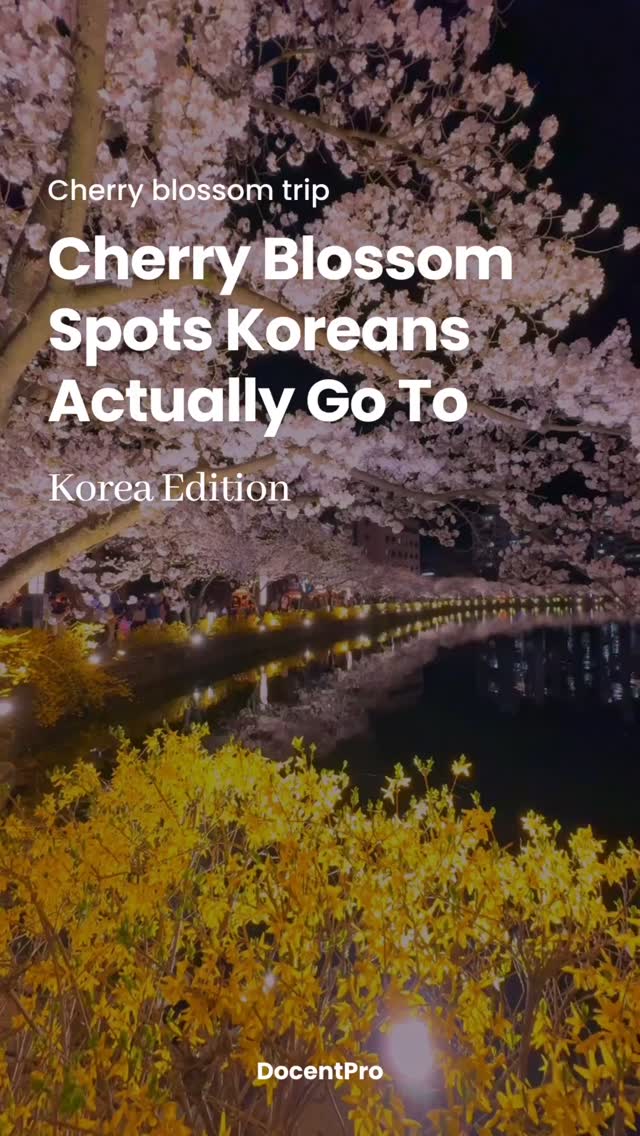 DocentPro | Travel Made Easy, Jeju Island
