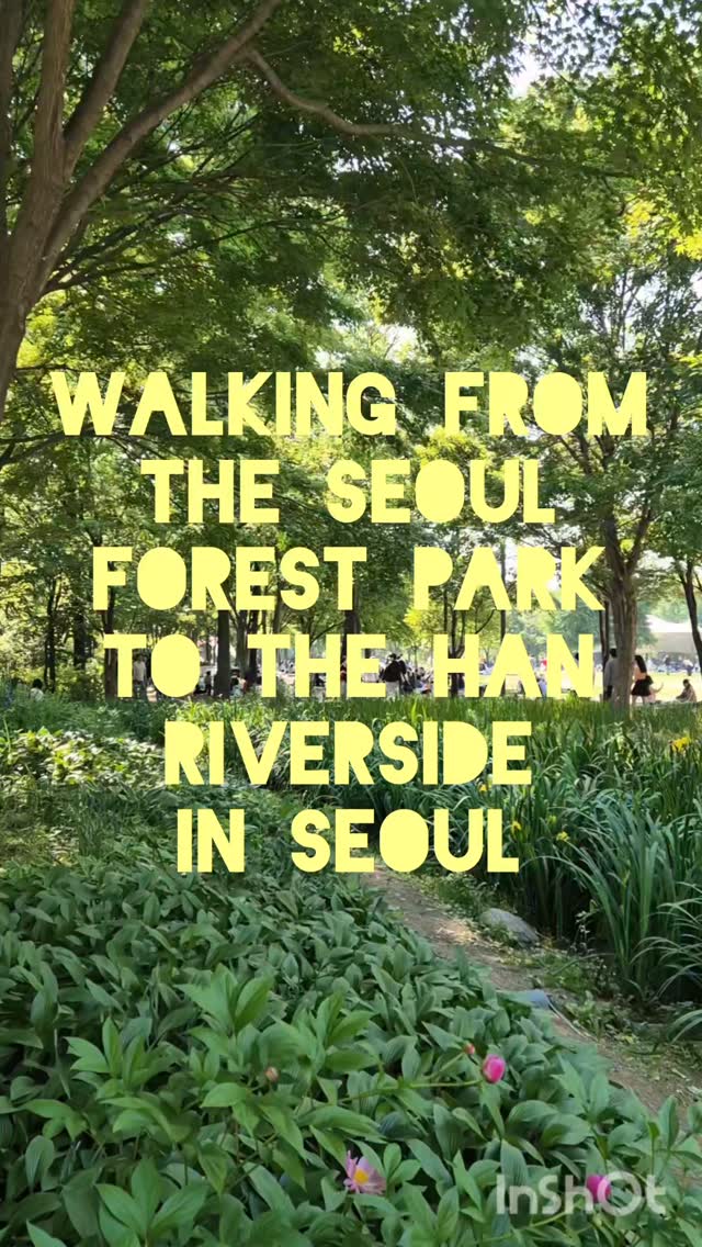The Moonlighting Doctor, Yeouido Hangang Park