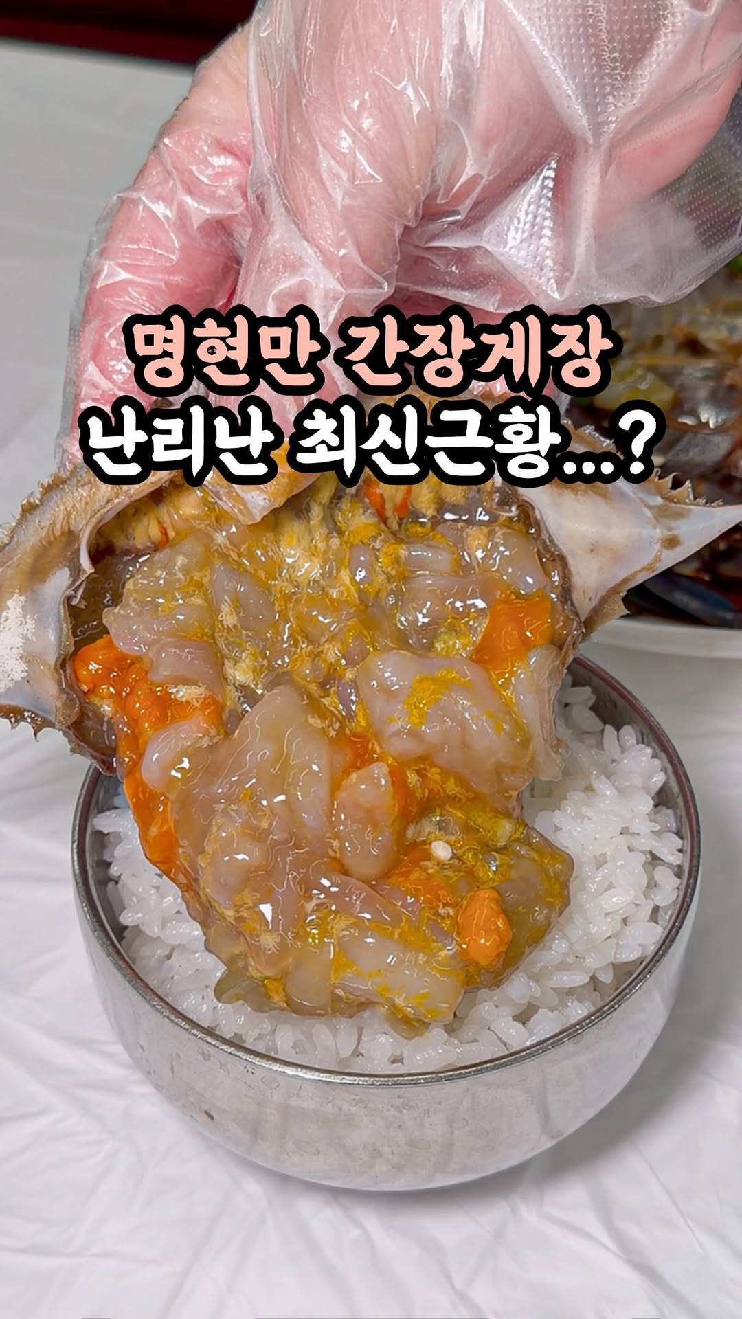 이딧ㅣ서울맛집 파주맛집 고양맛집 전국맛집, Mecenatpolis