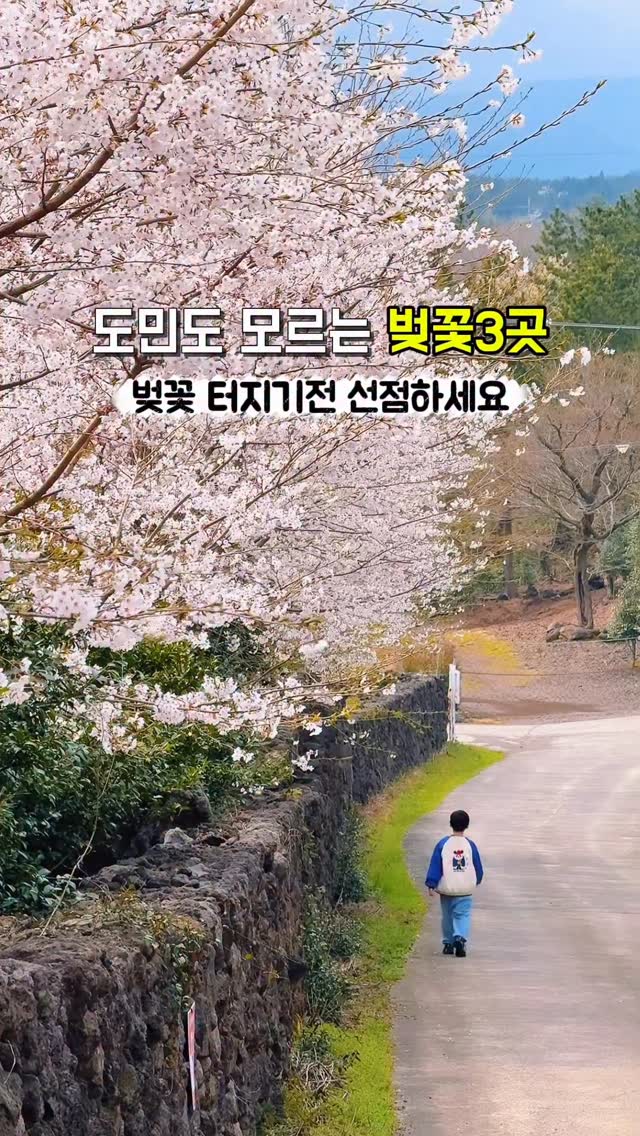 쿡희 ❤︎ 제주감성여행, Noksan-ro