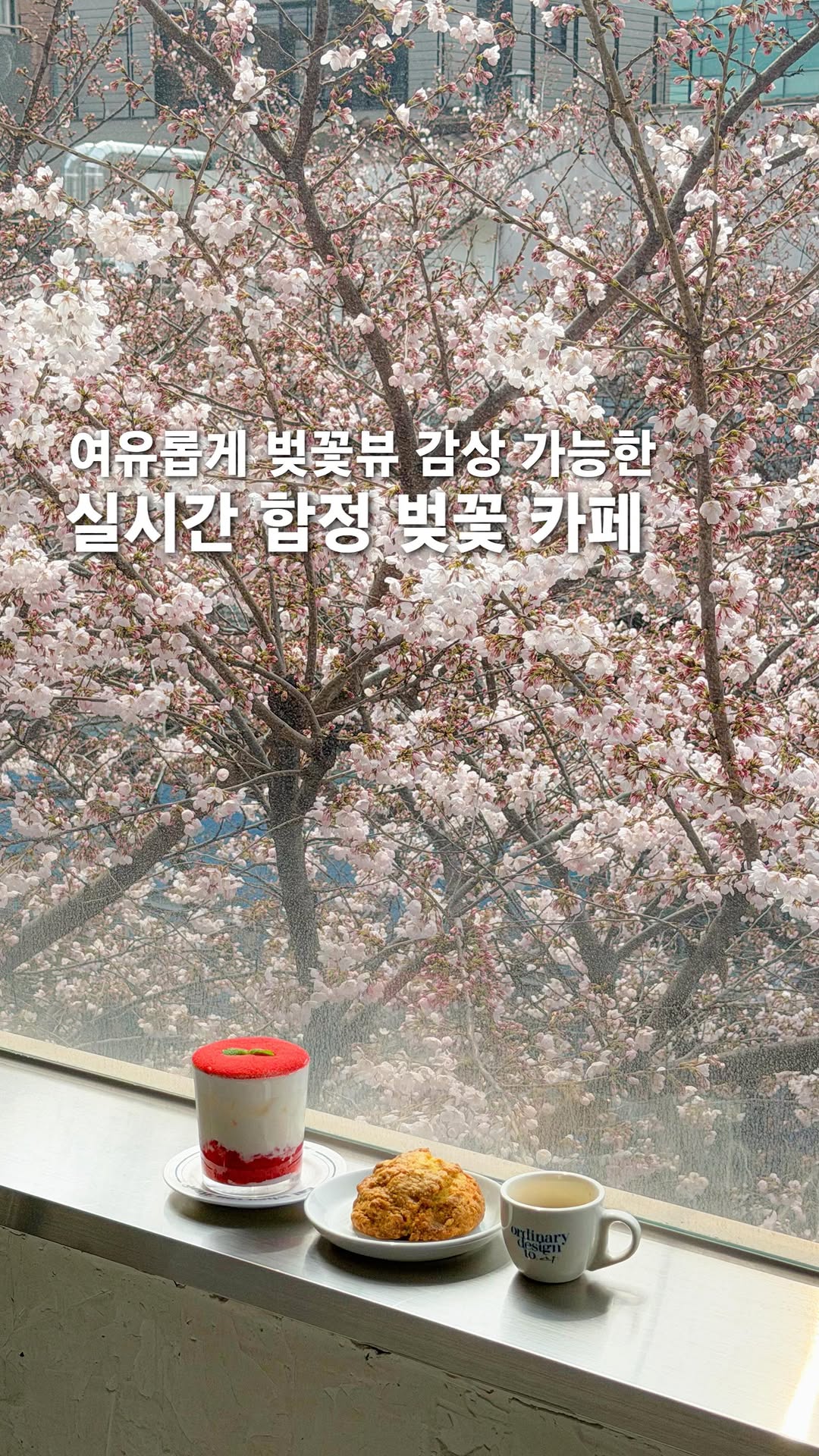 여행, 아영🫧 | 서울근교 여행•공간, Yeonnamdong Cherry Blossom House