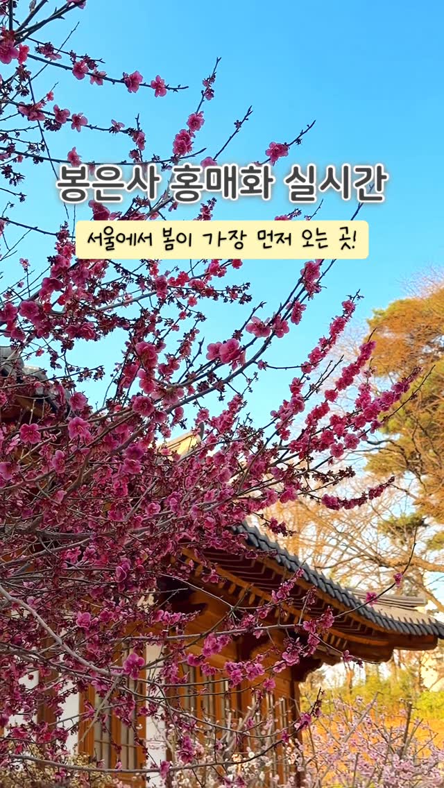 윤동화 | 인천맛집카페 • 국내외 여행, Gangnam-gu