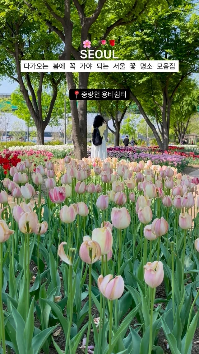 해민 | 카페 • 맛집 • 여행, Seoul Forest Park
