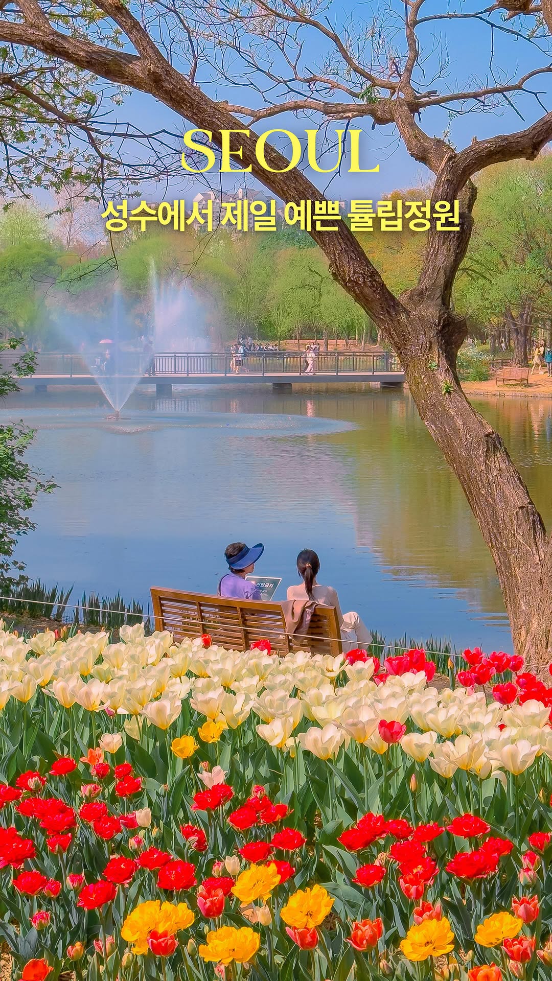 훵 | 돈 없는 여행 중독자✈️, West Seoul Lark Park