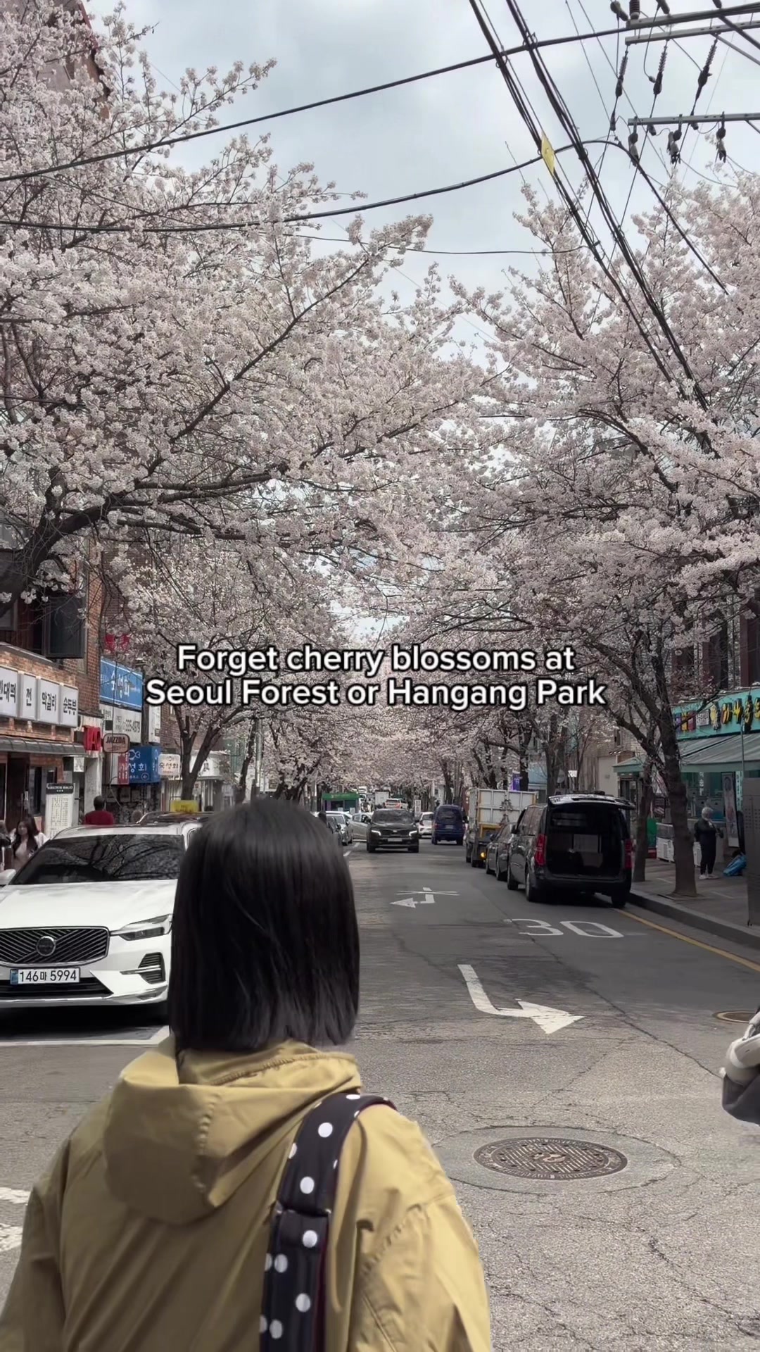 khormemary, Hongdae Street