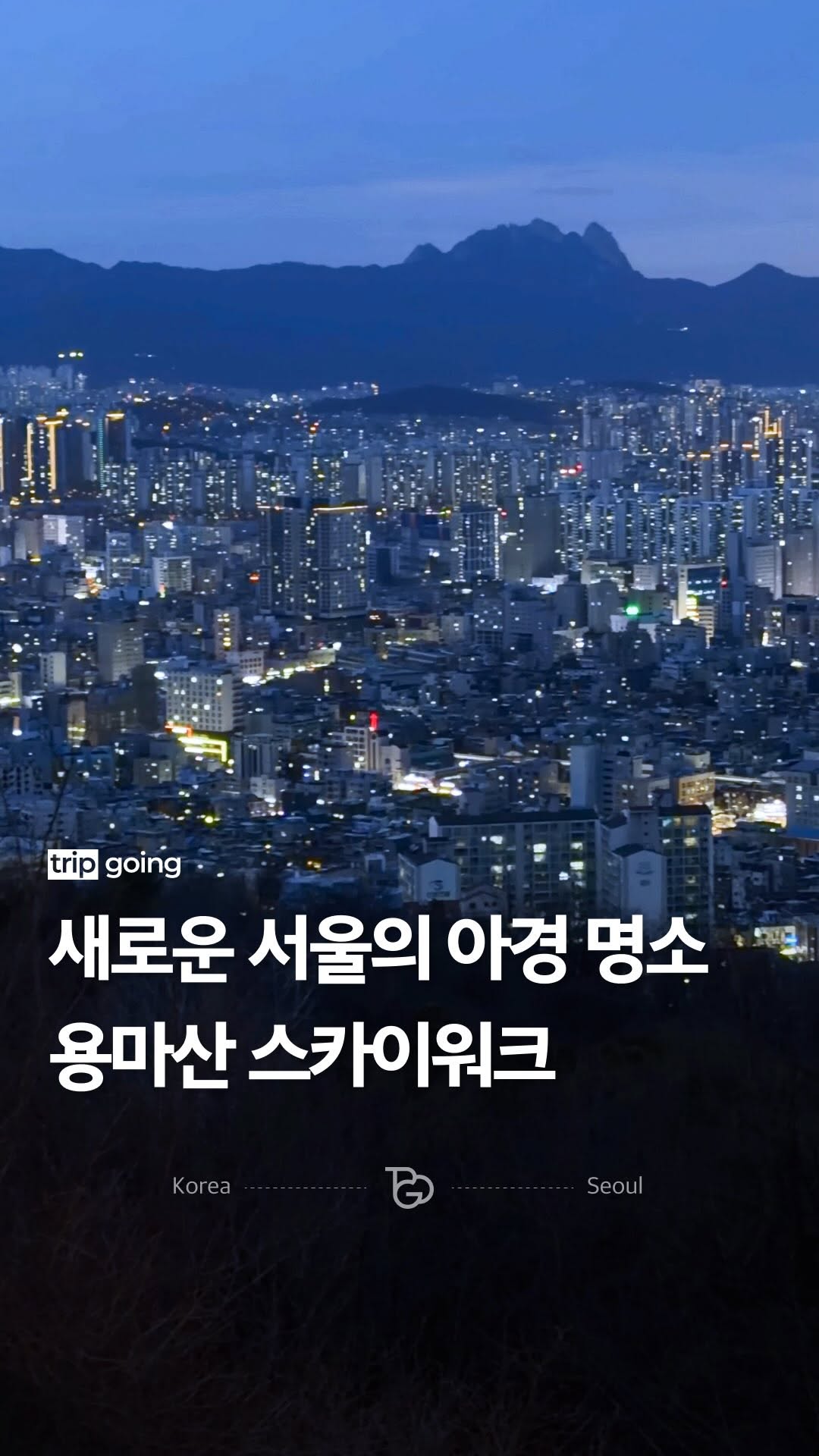트립고잉 tripgoing, N Seoul Tower