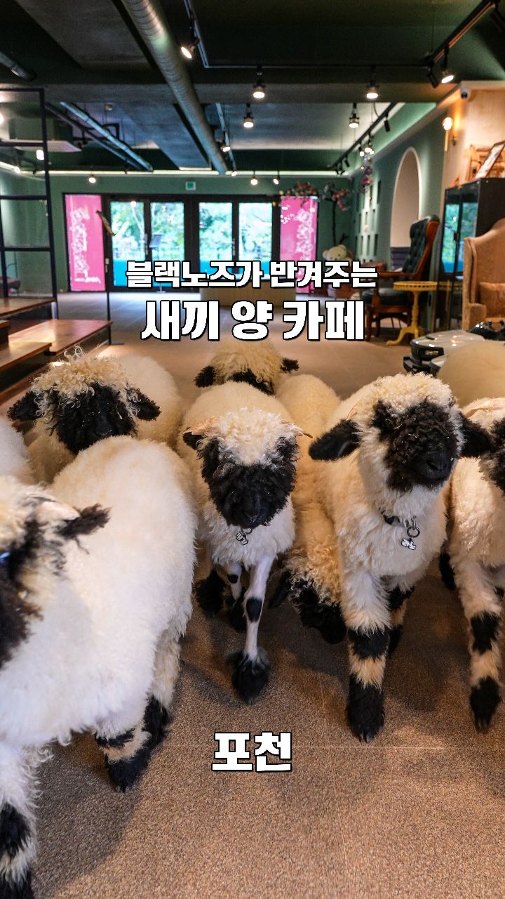 가보자곰, Pyunggang Land