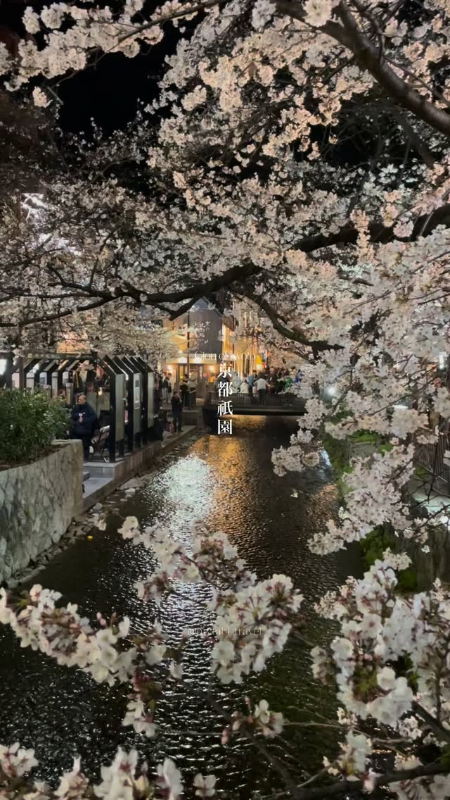 マイタビ / 旅行スポット紹介, Yasaka Jinja