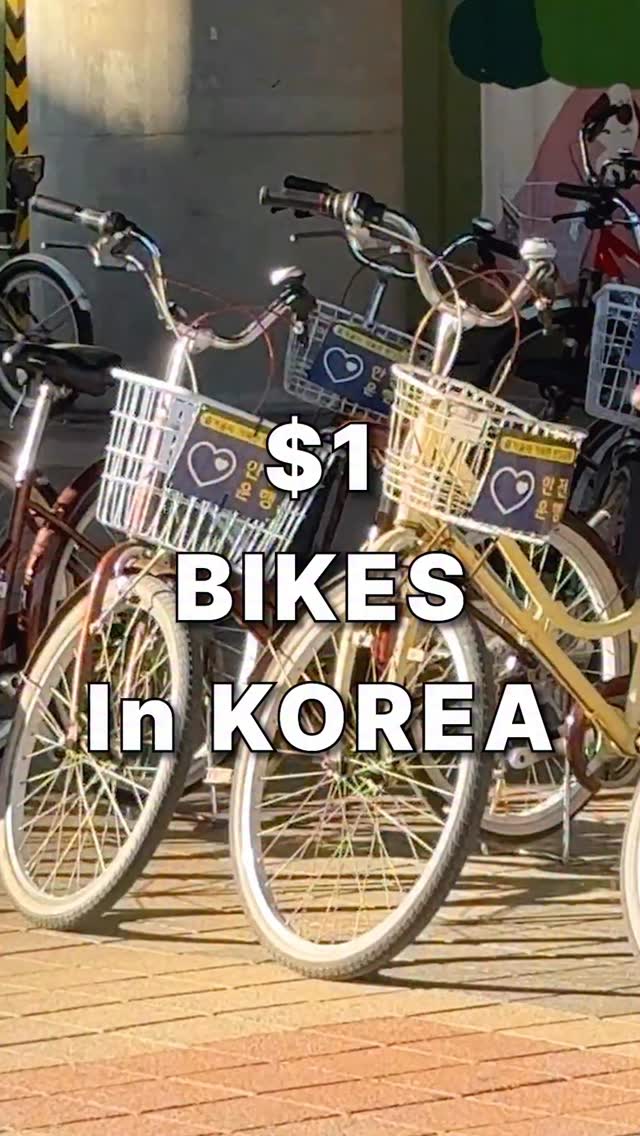 Bae | South Korea Travel Guide, Banpo Bridge