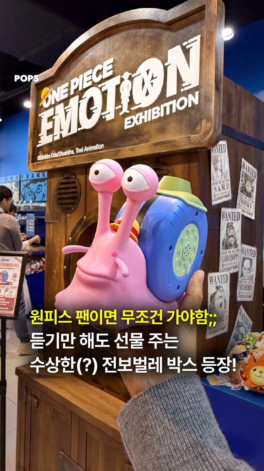 팝스 | 팝업, 전시, 페스티벌, 행사, 이벤트, Hongdae Street