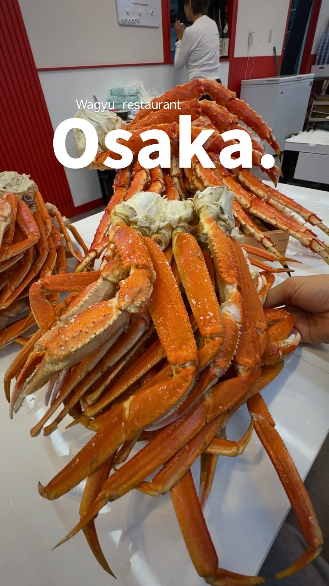 JAPAN TOURISM🇯🇵🍣, Dotonbori