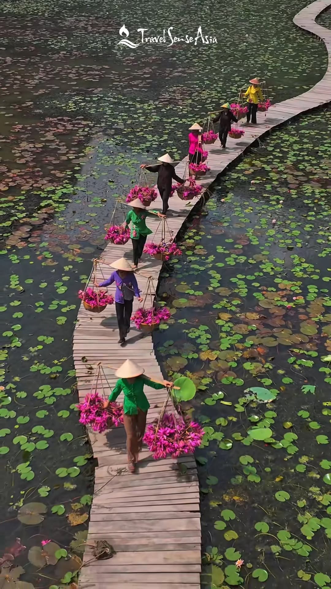 Travel Sense Asia Italiano, Tam Cốc-Bích Động