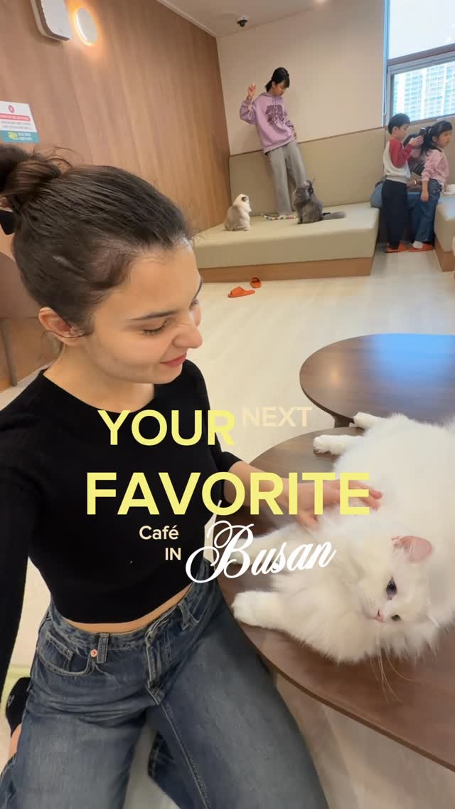 Mariia | K-beauty enthusiast 💛, Yang2 Yang2 cat cafe