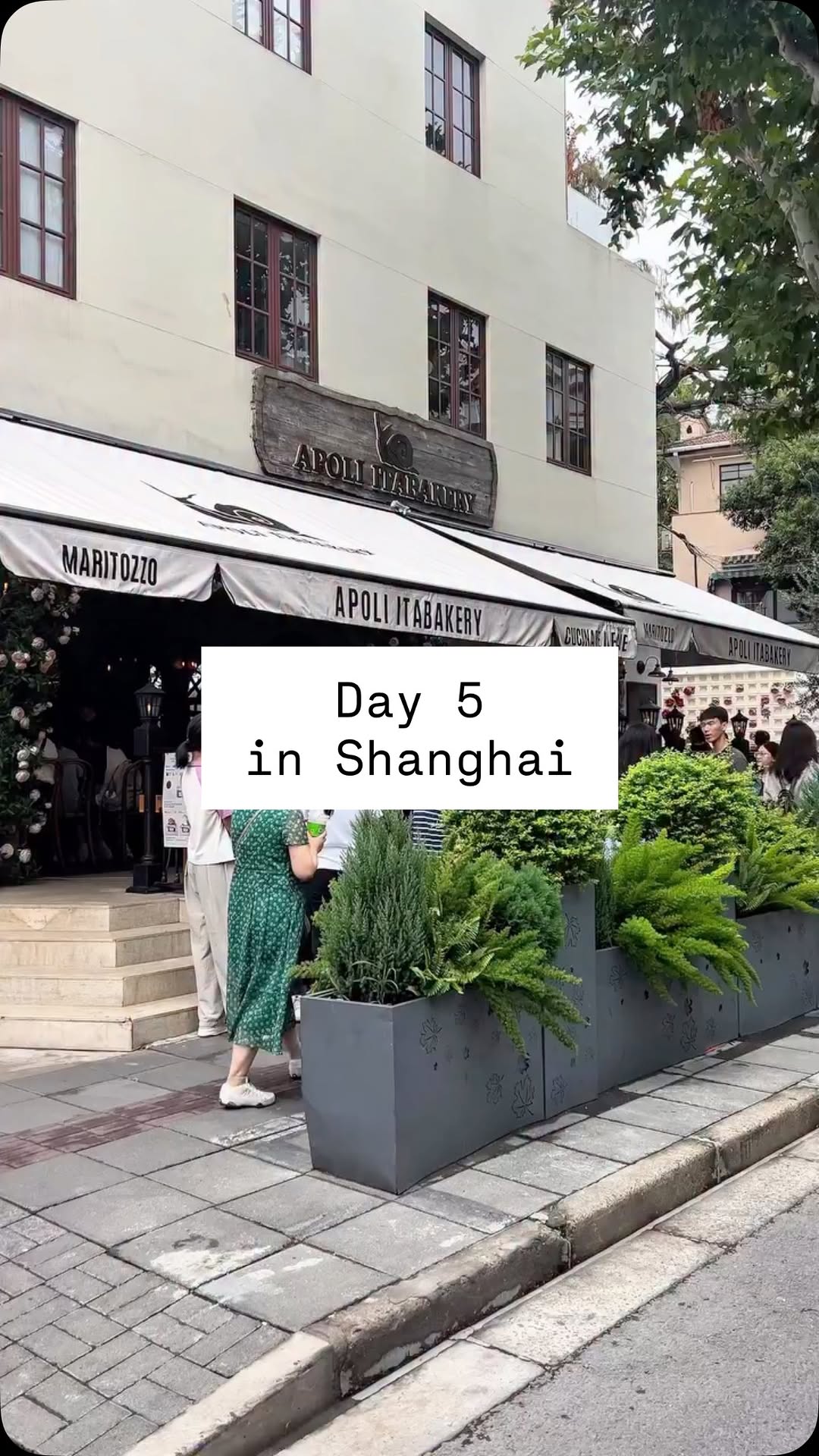 Amee🧋Sydney Foodie & Travel creator, Mercure Shanghai Yu Garden (Opening August 2018)