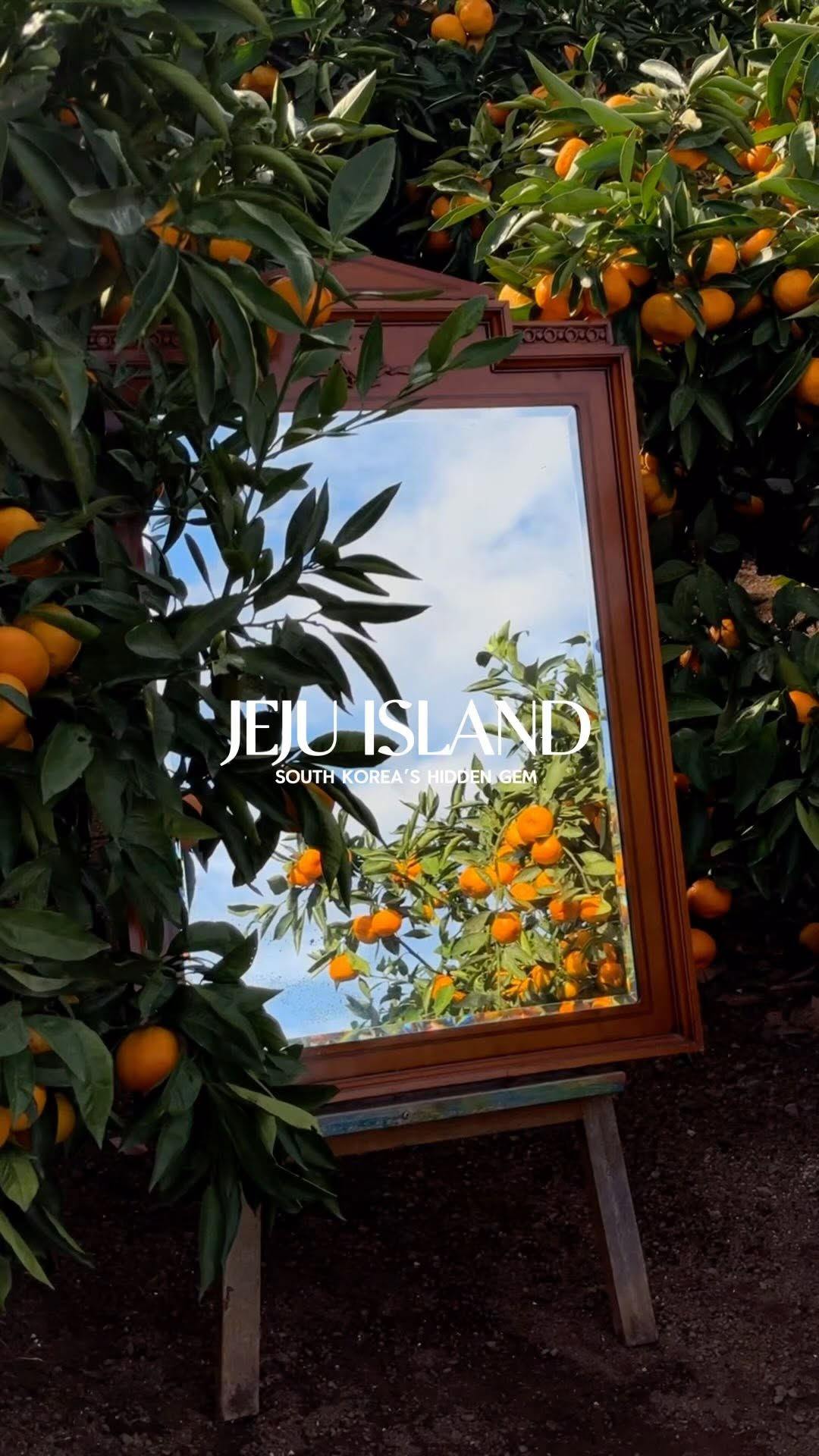 sveta | chicago & travel creator, Jusangjeollidae