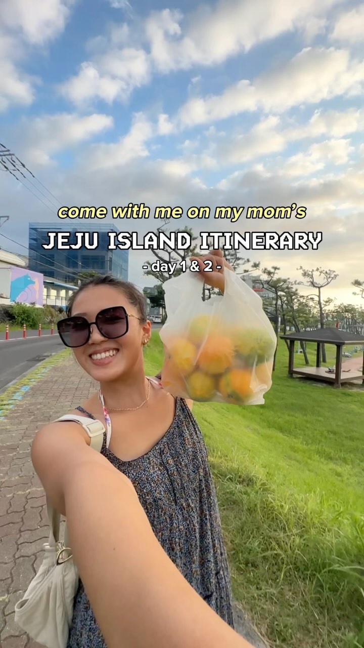 soo 🍡, Seopjikoji