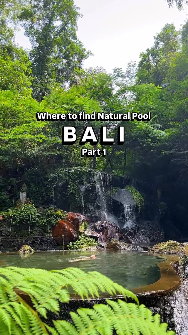 BALI TOUR ORGANIZER, Goa Raja Waterfall
