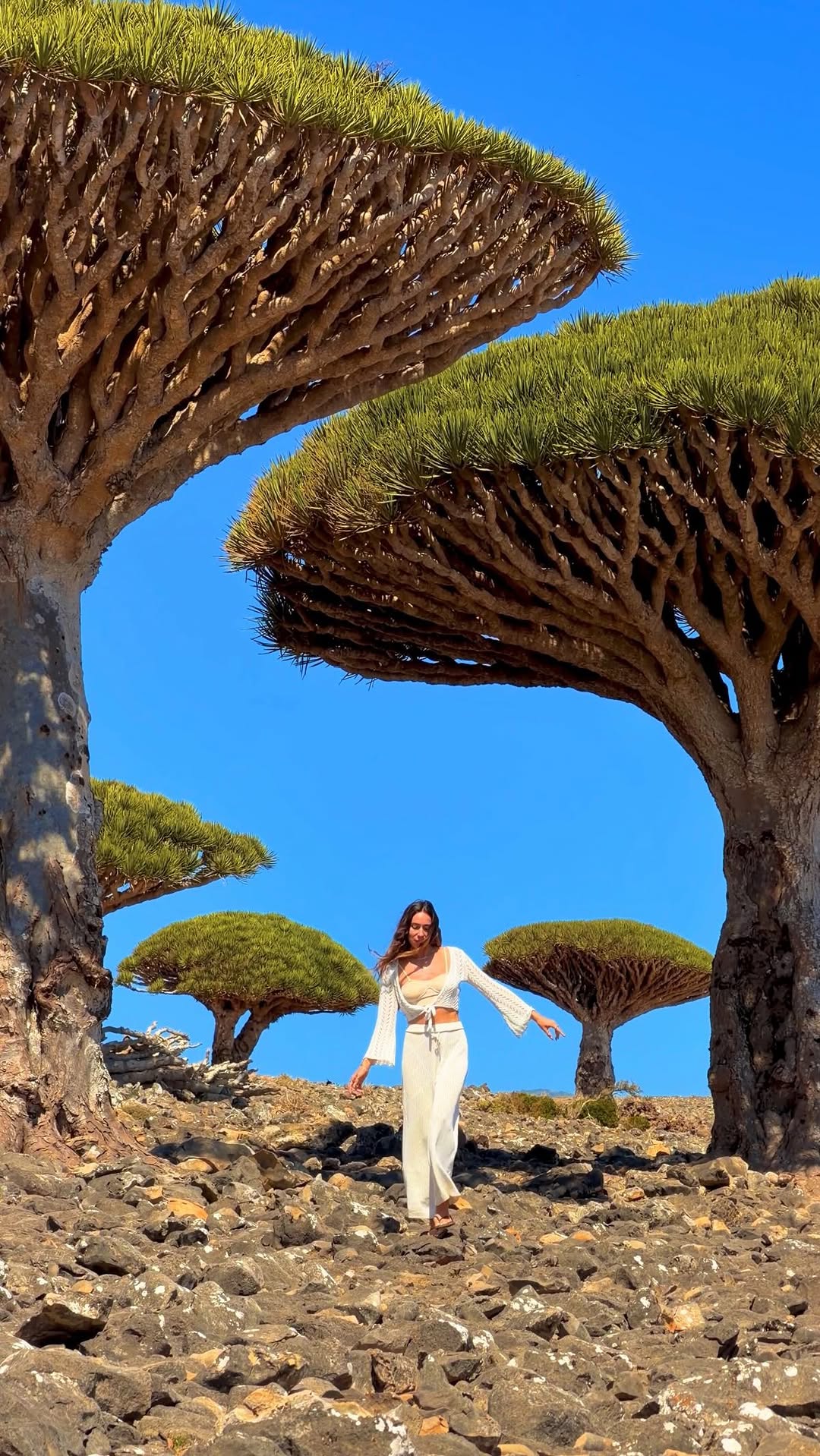 ieva | Luxury, Adventure, Sustainable Travel, شاطئ عرهر Arher Beach
