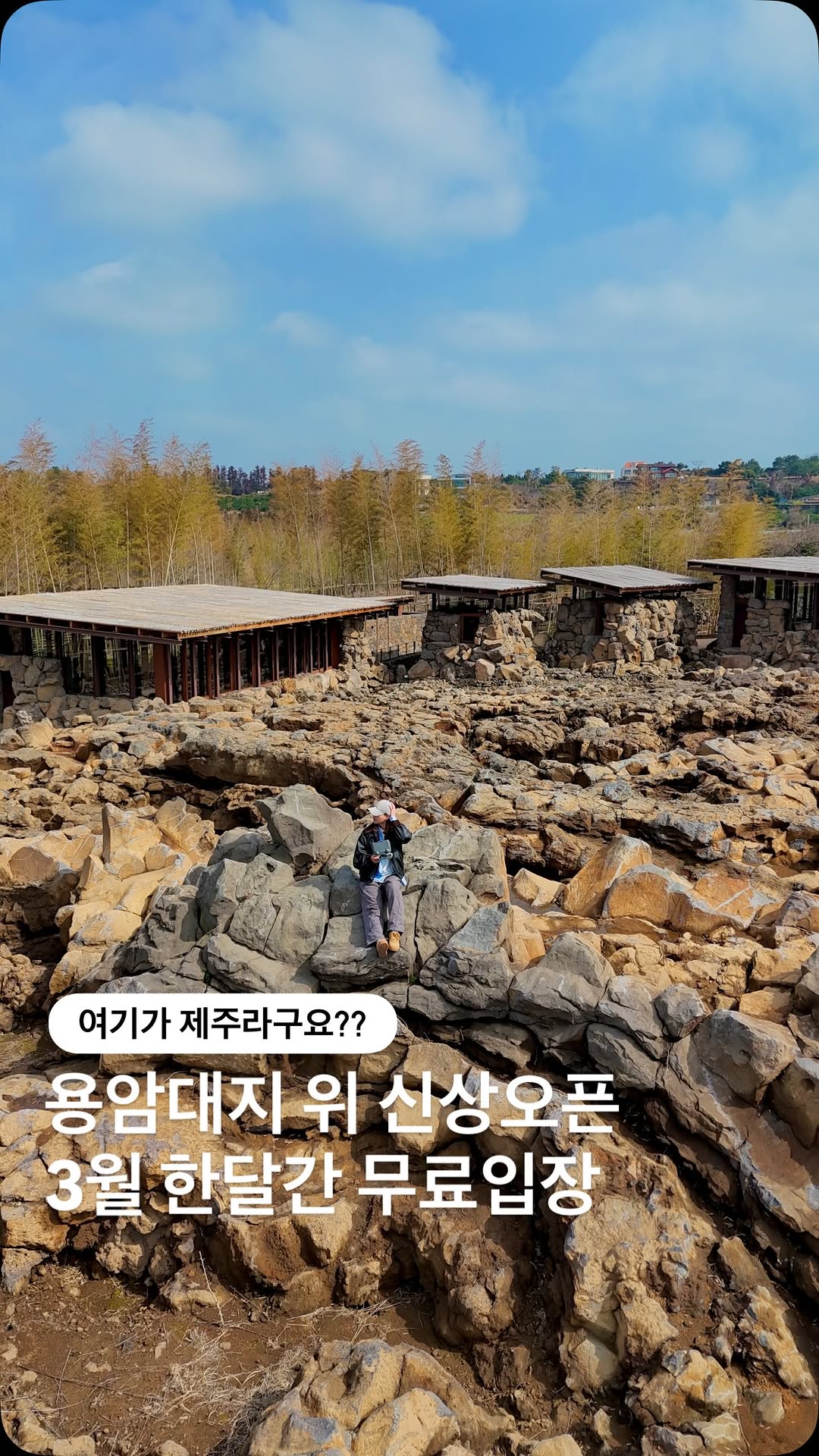 제주소영 | 맛집. 카페. 여행지추천, Aewol-eup