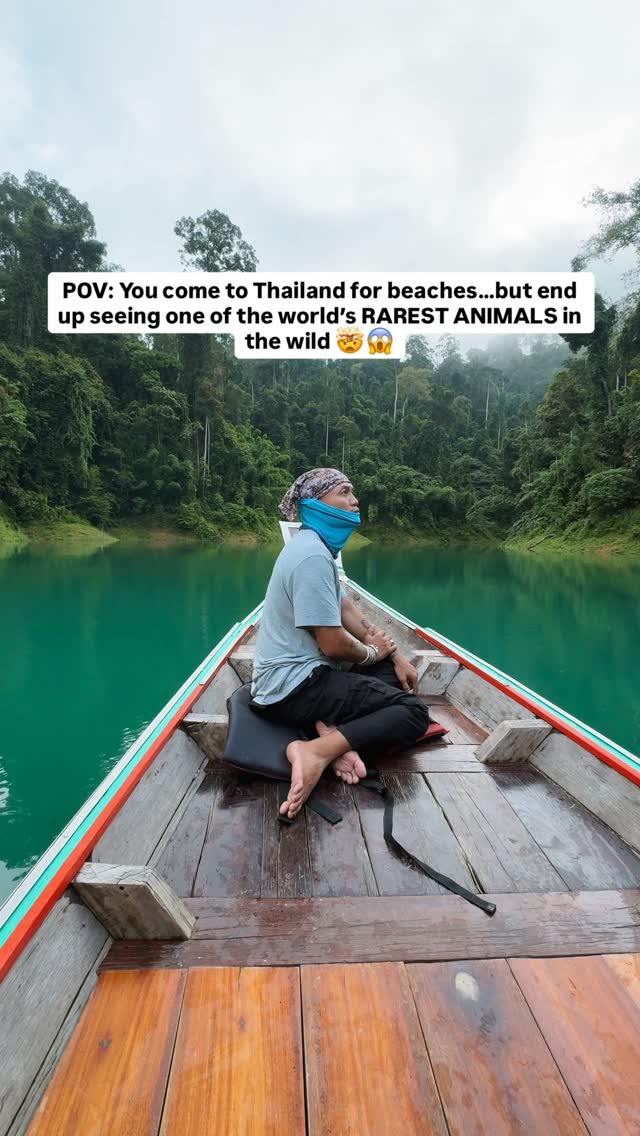 Céline & Felix | Travel content creators | Travel tips, Cheow Lan Lake