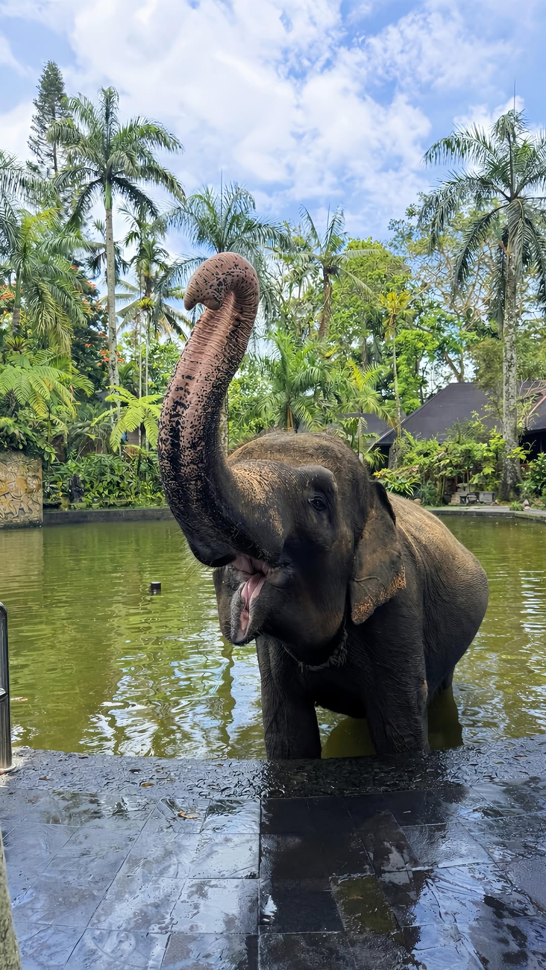 🌙 Kristina ✨, Ubud
