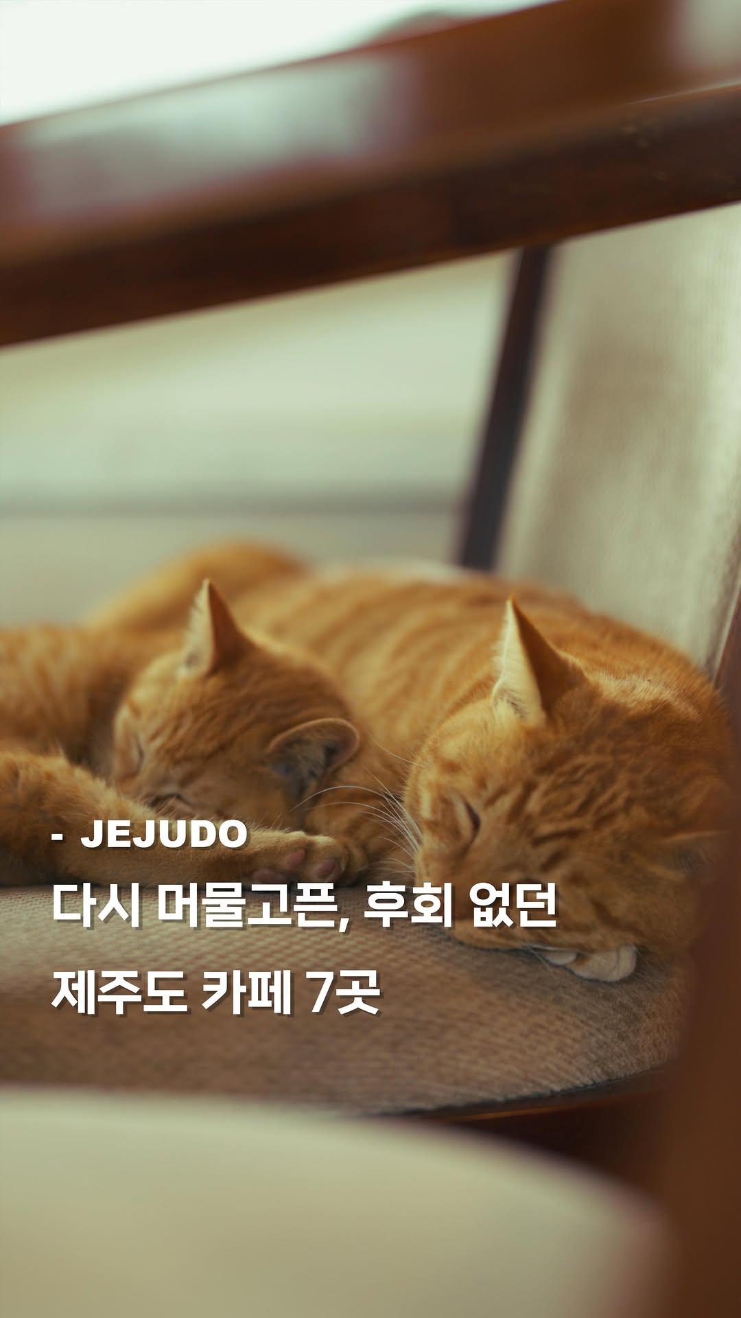 비움 - 양희종, Cafe Hallasan