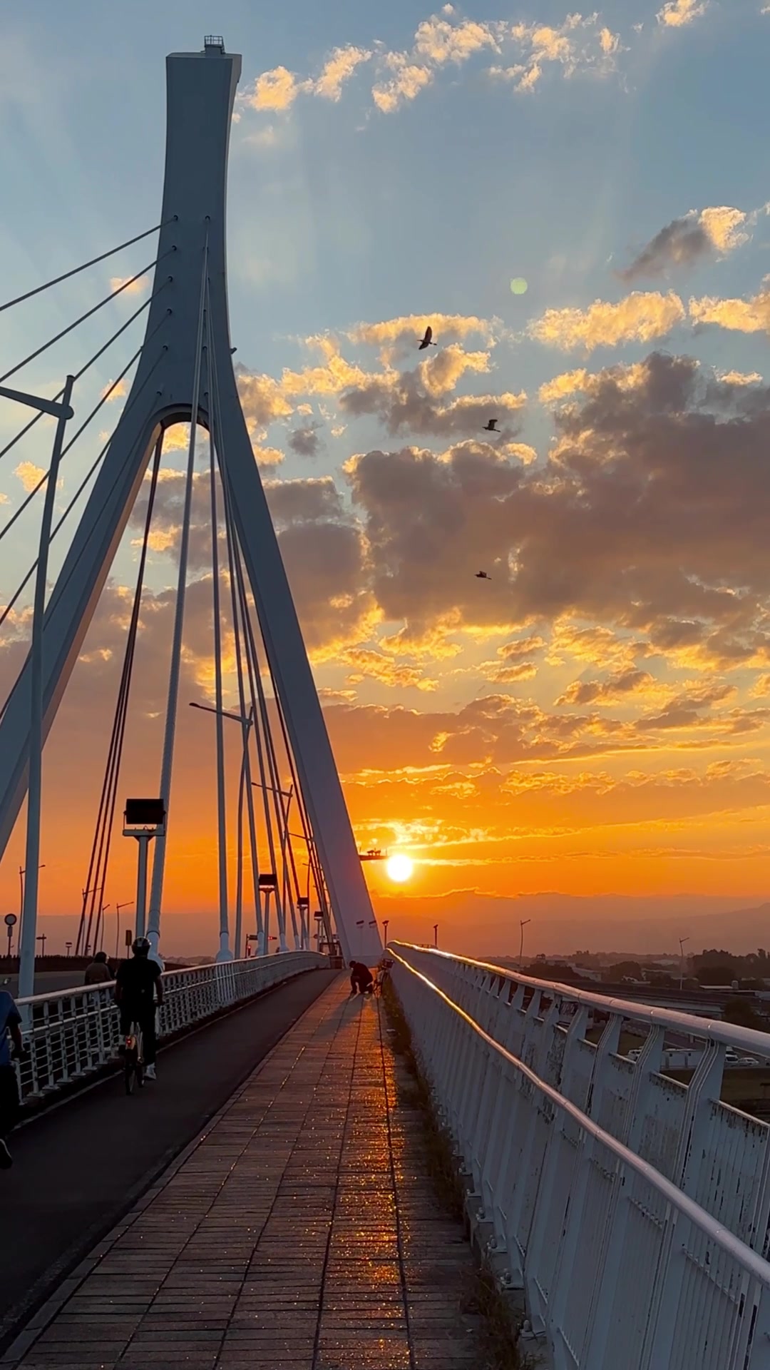 chillwithcillaa, Shezi Bridge